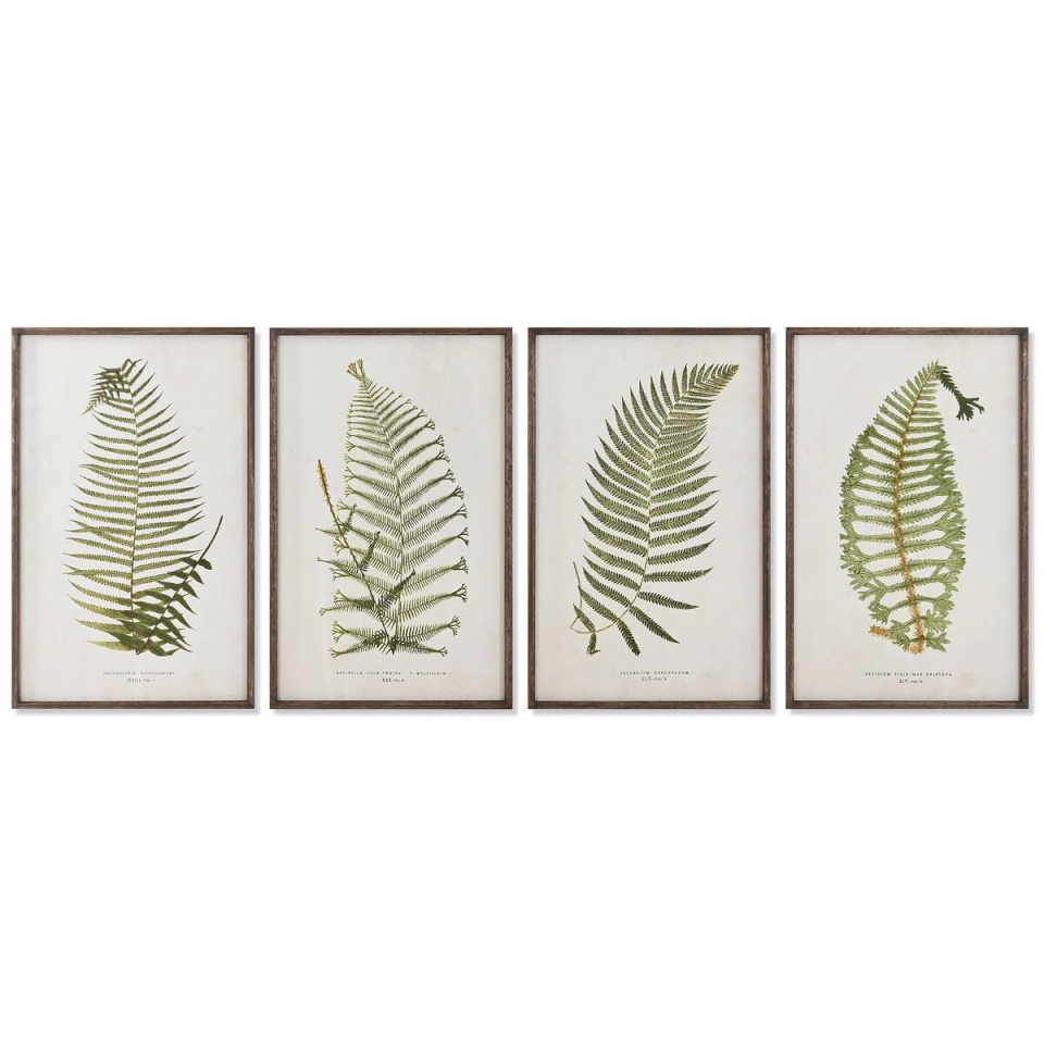 Home ESPRIT maal Sõnajalg Cottage 45x2,5x70cm (4tk)