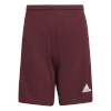 Lühikesed püksid Kids Adidas Squadra 21 Short bordoopunane GN8081 116cm