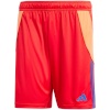 Lühikesed püksid meestele Adidas Tiro 24 punane IT2416 2XL
