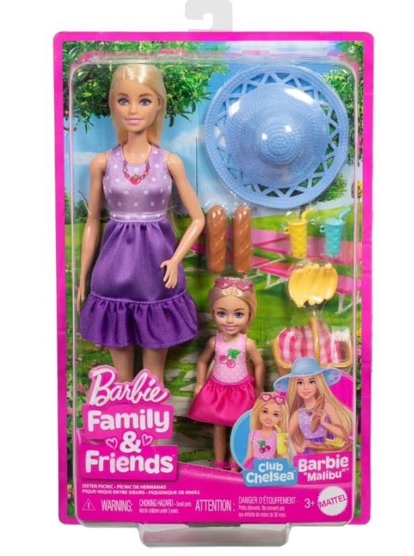 Mattel mängunukk Barbie Rodzina i przyjaciele siostry na pikniku