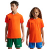 Nike Team T-särk lastele Dri-Fit Park Viii oranž HV8182 819 suurus M