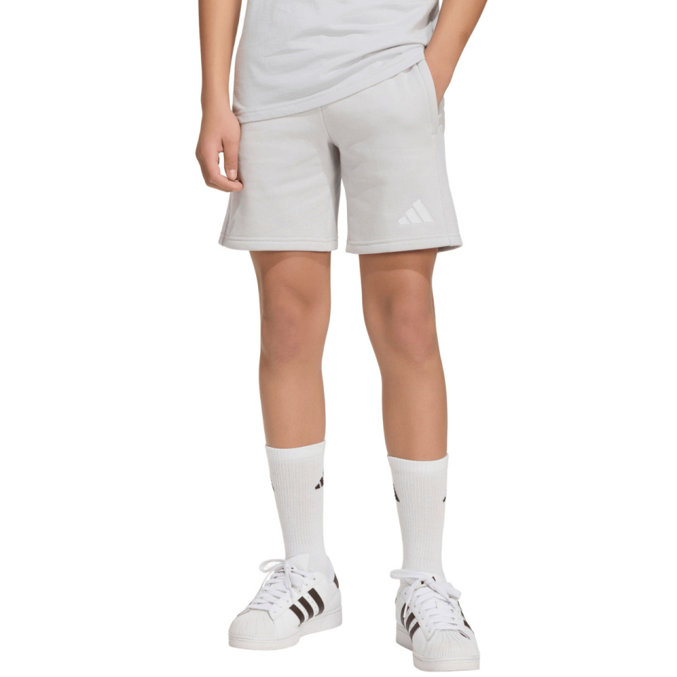 Lühikesed püksid Kids Adidas Entrada 26 Sweat hall KF5929 128cm