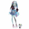 Monster High Frankie Stein Doll With Pet And Accessories