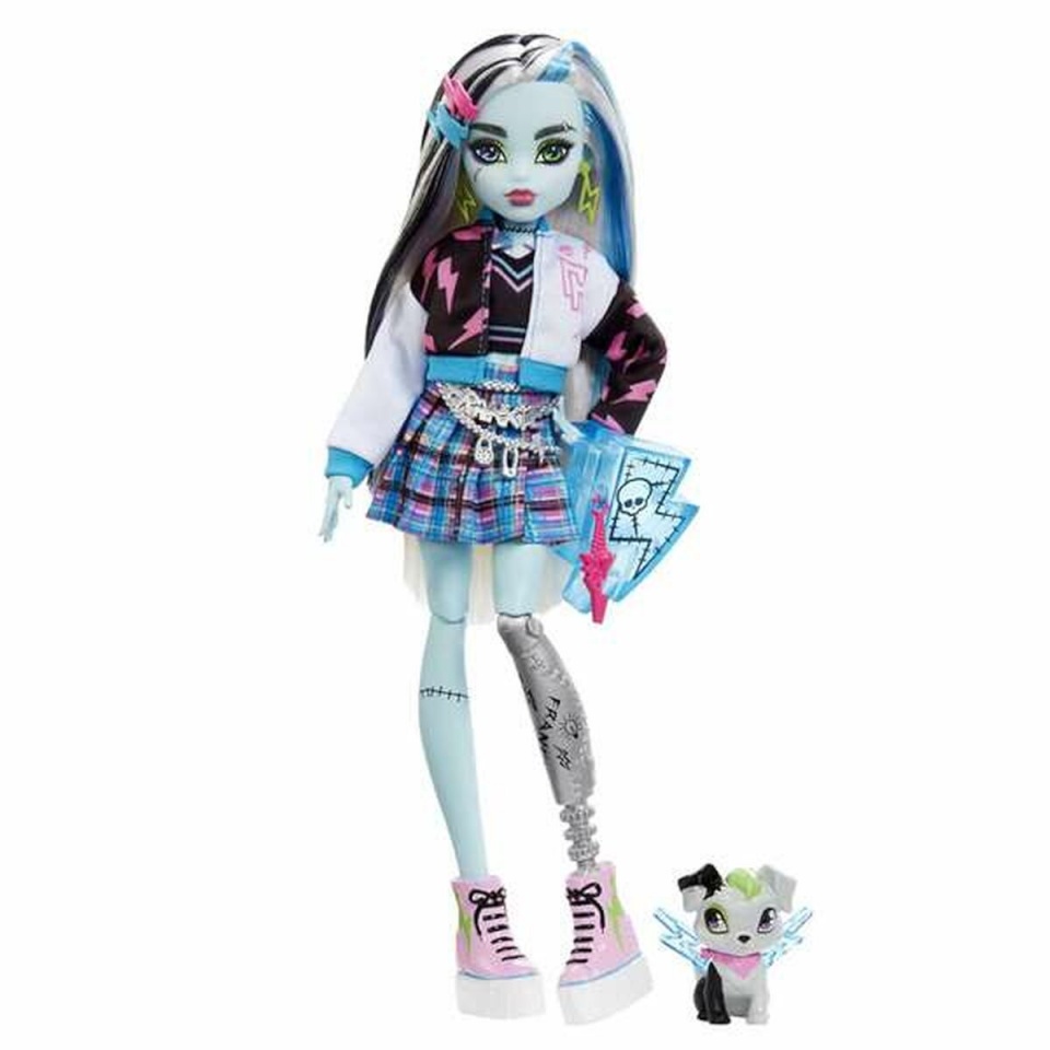 Monster High Frankie Stein Doll With Pet And Accessories