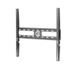 EDBAK seinakinnitus Wall Mount | FSM4040-F Universal | 32-75 " | Maximum weight (capacity) 30 kg | must