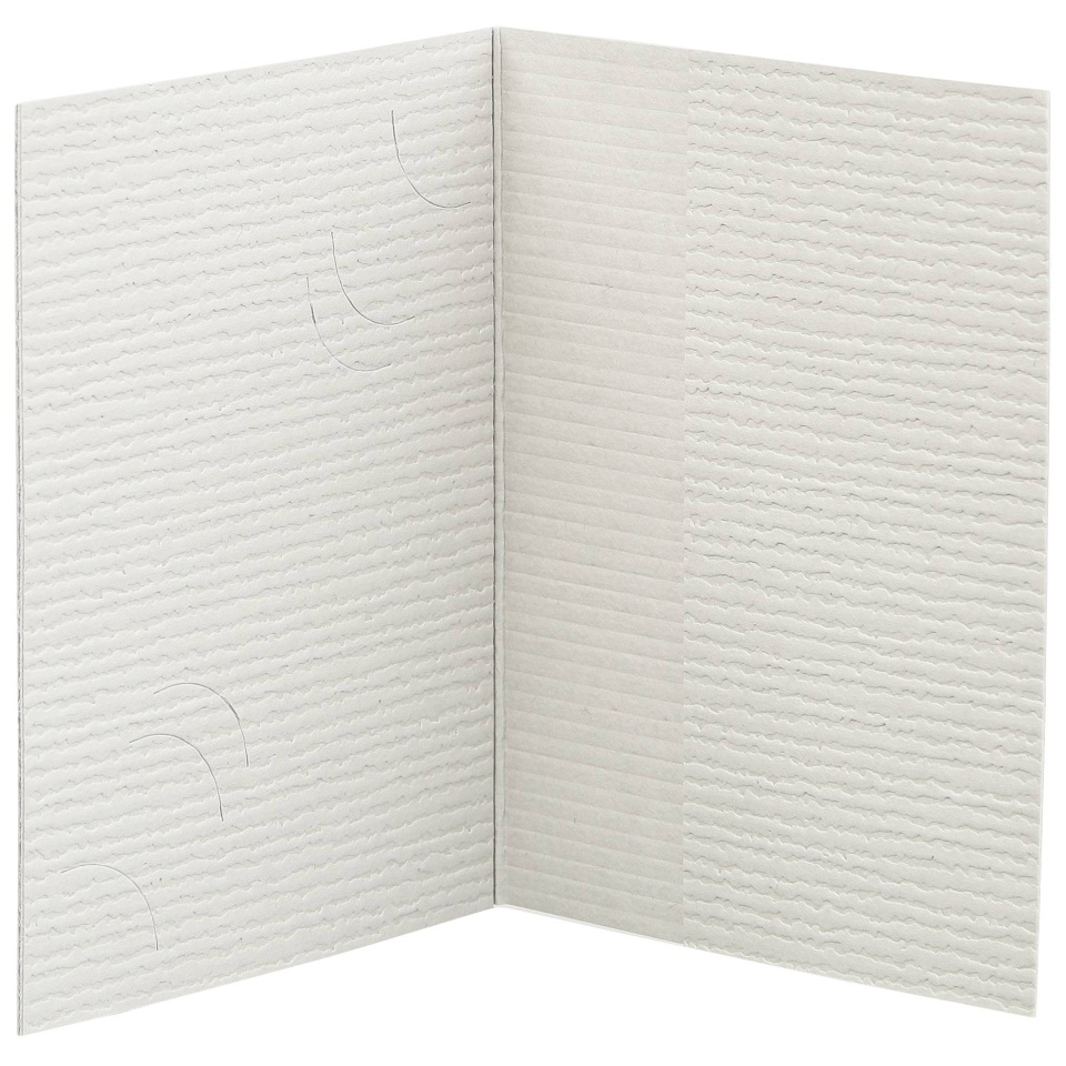 Daiber fototaskud 1x100 Folder Passport Photograph, 3 sizes, hall