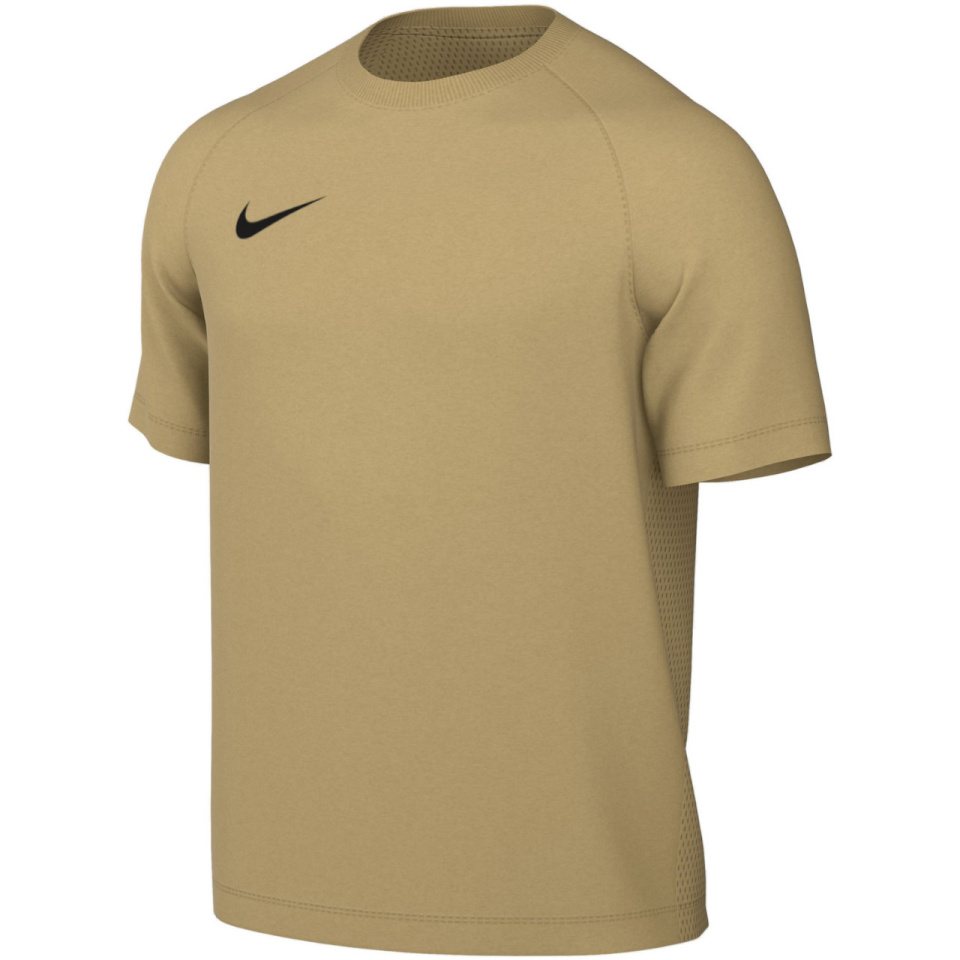 Nike Team T-särk meestele Dri-Fit Park Viii kuldne HV8173 729 suurus L