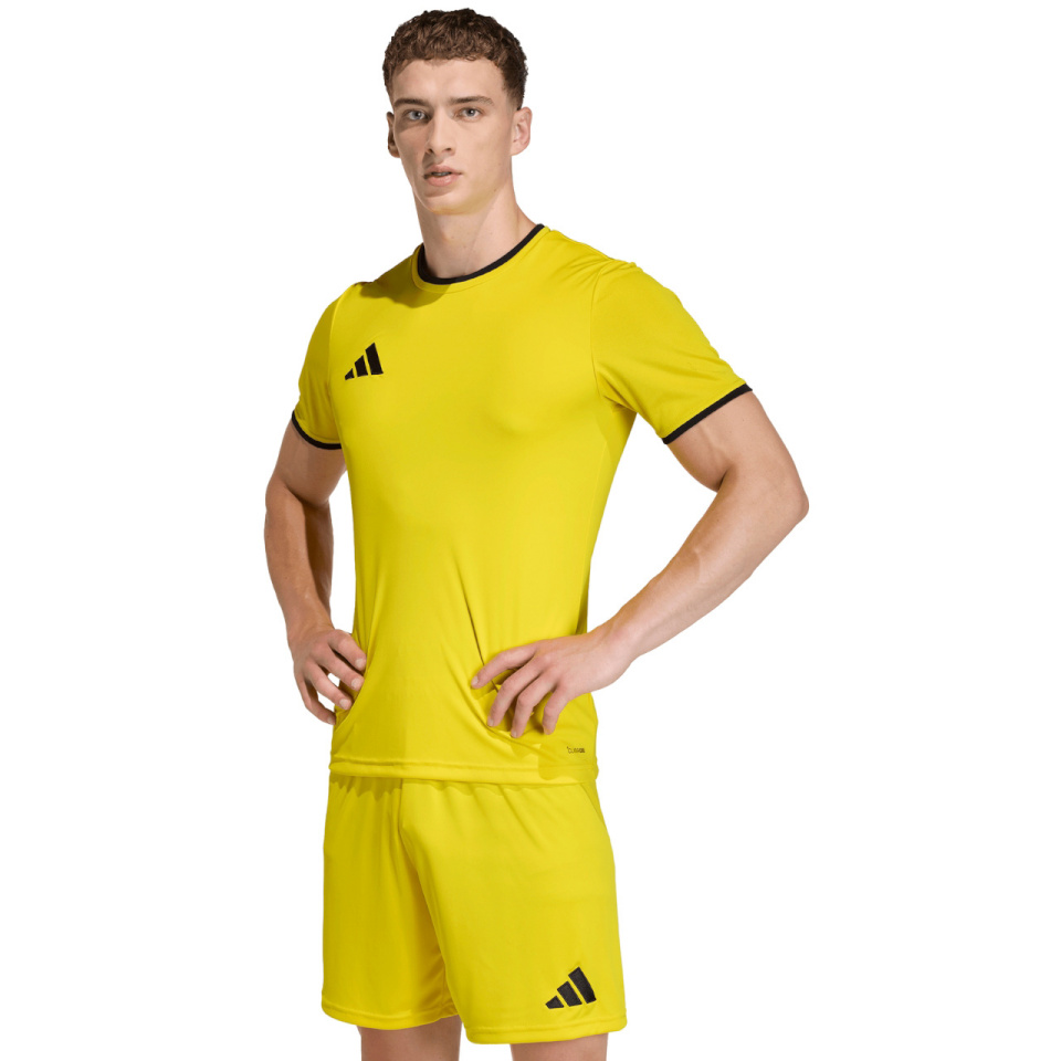 Adidas Teamwear T-särk meestele Entrada 26 Jersey kollane JZ2502 suurus XL