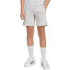 Lühikesed püksid Kids Adidas Entrada 26 Sweat hall KF5929 164cm