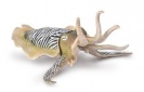 Collecta mereelukas Common Cuttlefish (XL), 80009