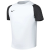 Nike Team T-särk lastele Dri-Fit Academy II valge-must HV8168 101 suurus L