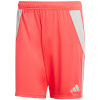 Lühikesed püksid meestele Adidas Tiro 24 punane JI6091 2XL