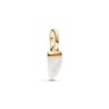 Pandora naiste amulett 763373C01 kuldne