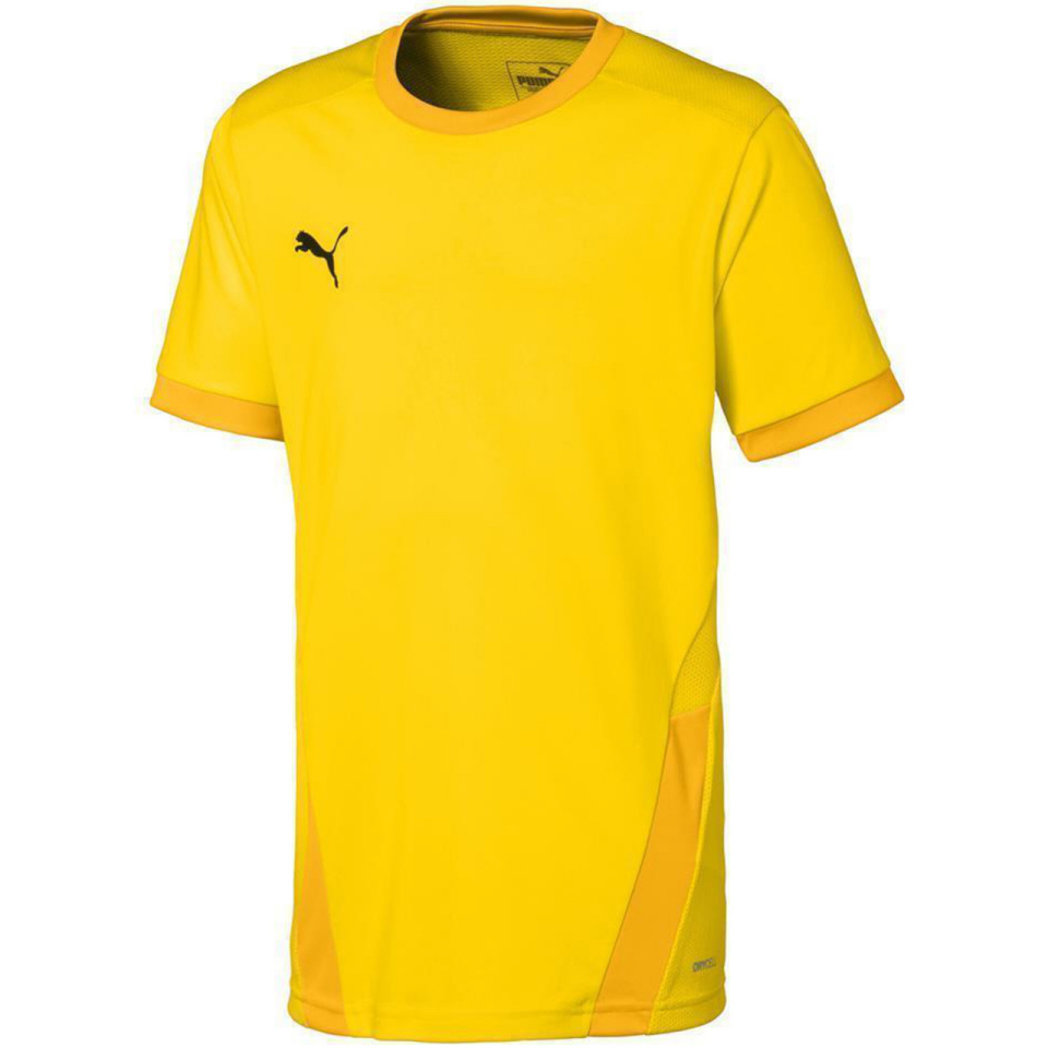 Puma T-särk lastele Teamgoal 23 Jersey kollane 704160 07 suurus 164cm