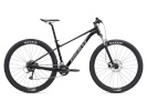 Giant jalgratas Talon 3 29", S, Panther