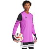 Adidas Teamwear T-särk Bramkarska meestele Squadra 25 Long Sleeve fuksia JC6209 suurus XL