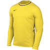 Nike Team T-särk meestele Dri-Fit Park 26 Crew Top kollane HM7165 719 suurus S
