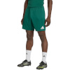 Lühikesed püksid meestele Adidas Entrada 26 roheline KE9828 2XL