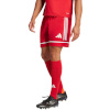 Lühikesed püksid meestele Adidas Squadra 25 punane JN5466 S