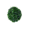 H4Y rohupall Buxus Greenland, 17cm, roheline