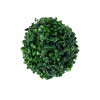 H4Y rohupall Buxus Greenland, 27cm, roheline 