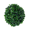 H4Y rohupall Buxus Greenland, 52cm, roheline