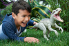 Mattel mängufiguur Jurassic World Indominus Rex