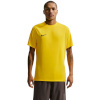 Nike Team T-särk meestele Dri-Fit Park Viii kollane HV8173 719 suurus XXL
