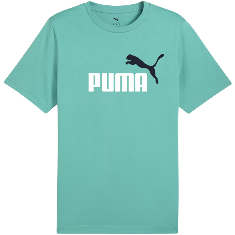 Puma T-särk meestele Ess 2 Color No.1 Logo mündiroheline 684708 59 suurus S