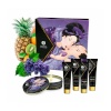Suur lõbukomplekt Shunga SECRET GEISHA EXOTIC FRUITS