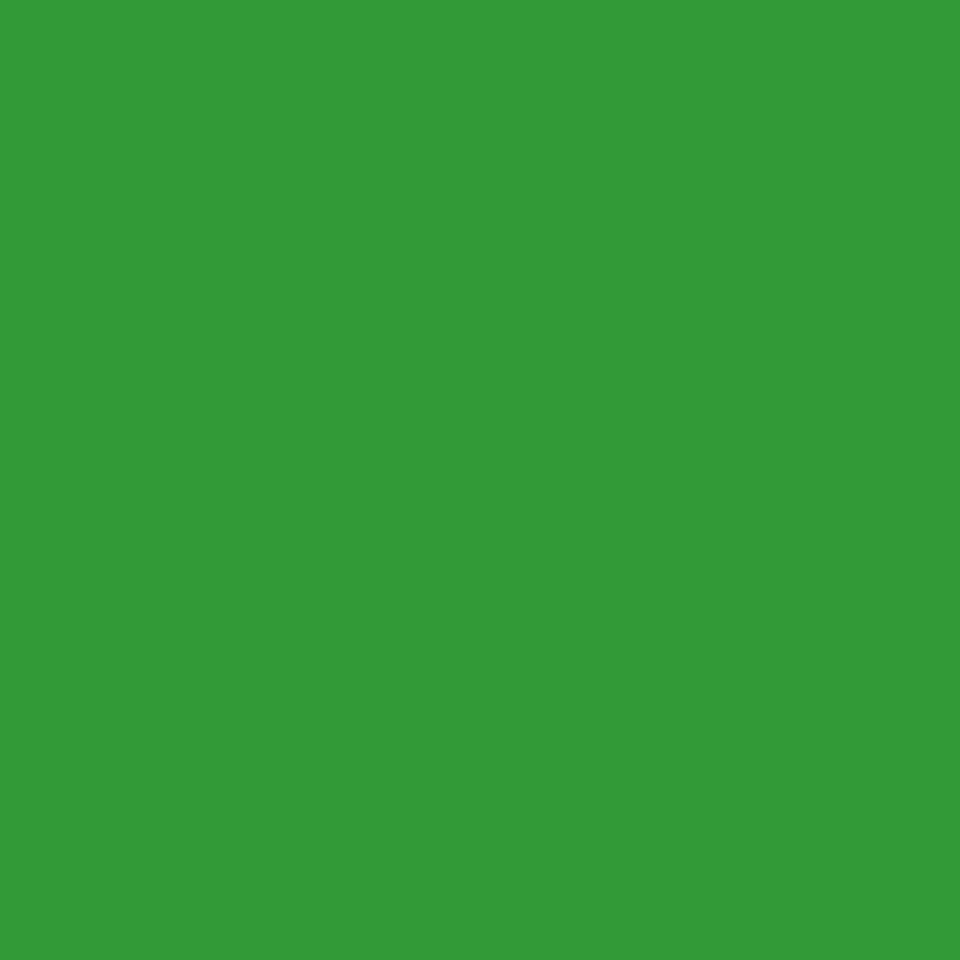 Superior taust Background Paper 85 Chroma Key Green 3.56x15m