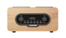 Blaupunkt raadio Portable DAB DR10CR