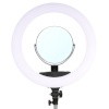 StudioKing videovalgusti LED Ring Lamp Set 65W LR-650