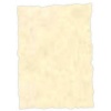 17431 Parchment paper Michel Topaas A4 25tk