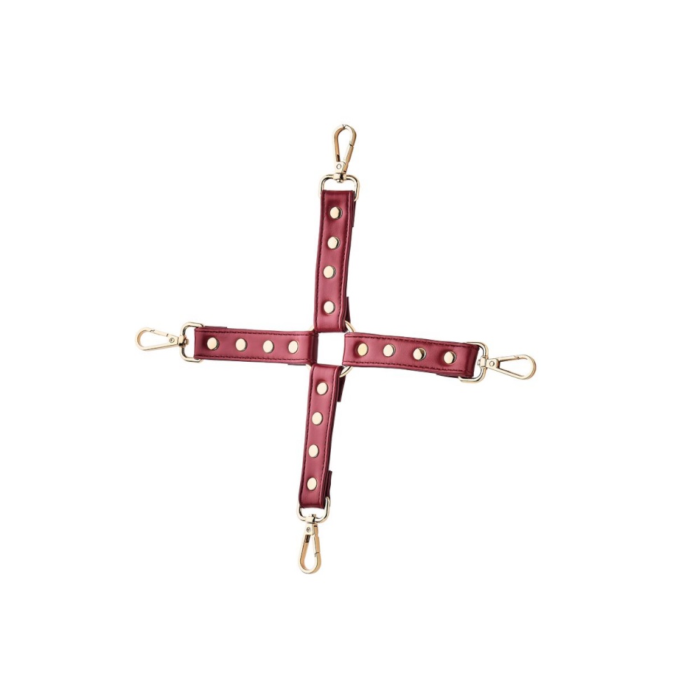 Dream Toys Reguleeritav nöör sidumismängude komplekt Blaze