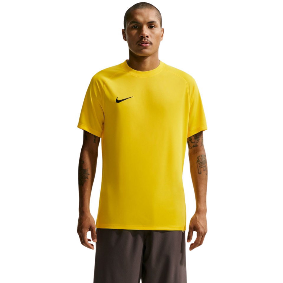 Nike Team T-särk meestele Dri-Fit Park Viii kollane HV8173 719 suurus XL