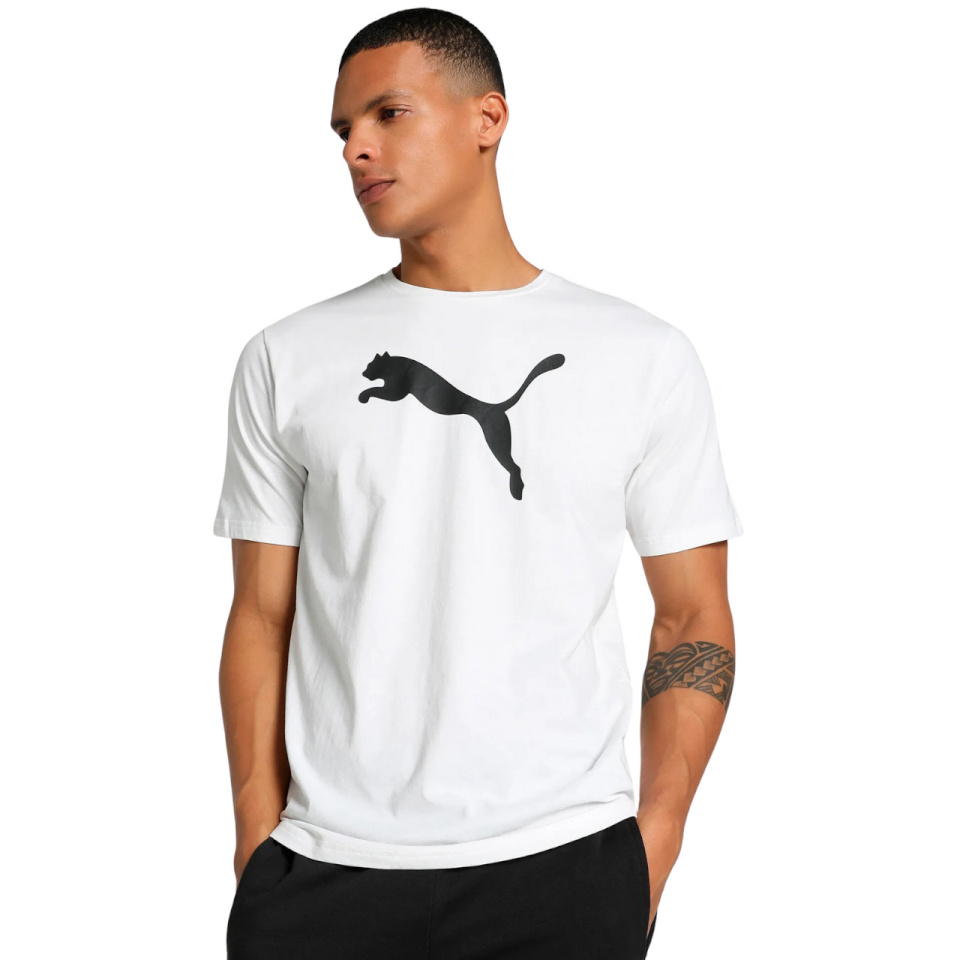 Puma T-särk meestele Team Rise Logo Jersey Cotton valge 658705 04 suurus XXL