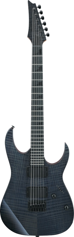 Ibanez elektrikitarr GRGR221FA-TDK elektrikitarr, läbipaistev indigo must