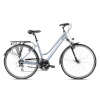 Arkus & Romet jalgratas Gazela 3, 28", hall-hõbe 2023 M