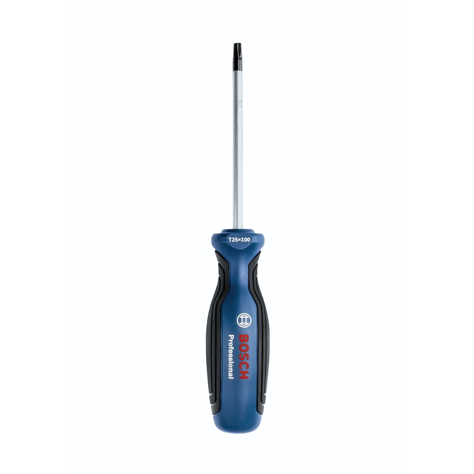 Bosch kruvikeeraja TX 25 x 100