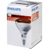 Philips infrapunapirn BR125 Infrared Lamp IR, 250W, E27, 230-250V, 1tk