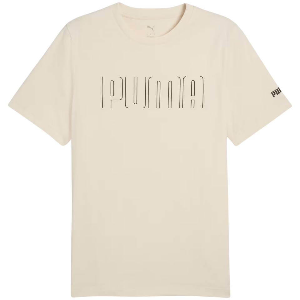 Puma T-särk meestele Sport Graphic Tee beež 684617 87 suurus L