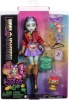 Monster High Jinafire pikk uinak