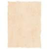 17431 Parchment paper Michel beež A4 25tk