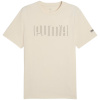 Puma T-särk meestele Sport Graphic Tee beež 684617 87 suurus M