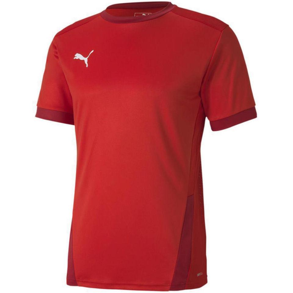 Puma T-särk meestele Teamgoal 23 Jersey punane 704171 01 suurus S