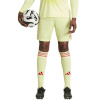Lühikesed püksid meestele Adidas Tiro 24 kollane-punane JI6090 2XL