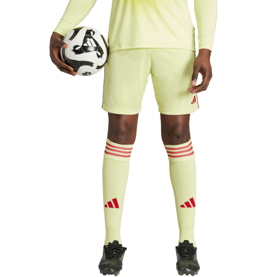 Lühikesed püksid meestele Adidas Tiro 24 kollane-punane JI6090 2XL