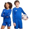 Adidas Teamwear T-särk lastele Entrada 26 Long Sleeve Jersey sinine KF5886 suurus 140cm