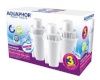 Aquaphor veefilter B100-15 Water Filter, 3tk